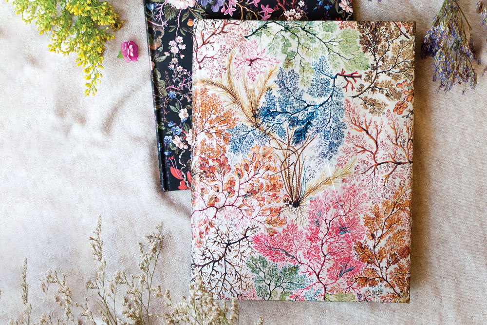 Anemone - Ispirazione di design -