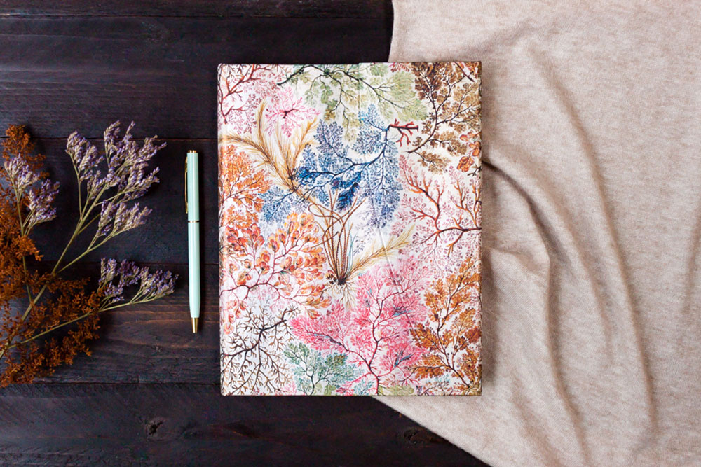 Anemone - Ispirazione di design -