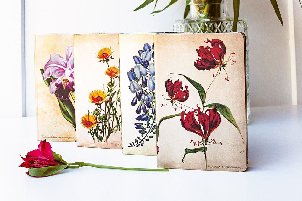 Glicine in fiore - Ispirazione di design -