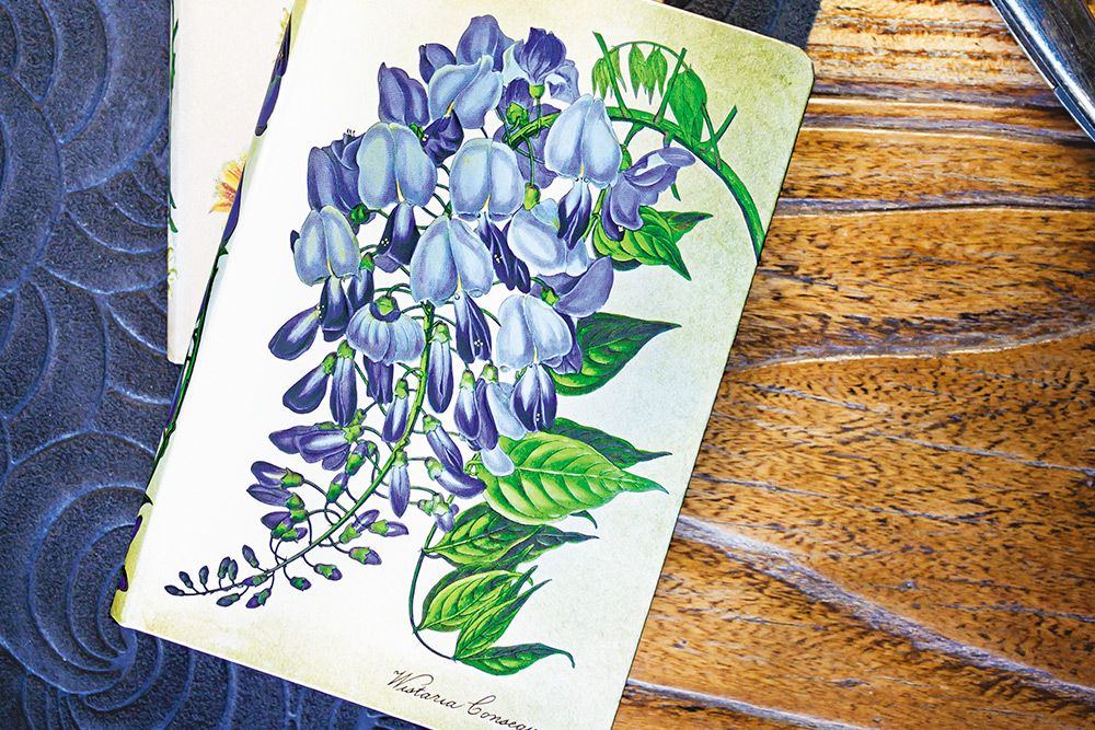 Glicine in fiore - Ispirazione di design -