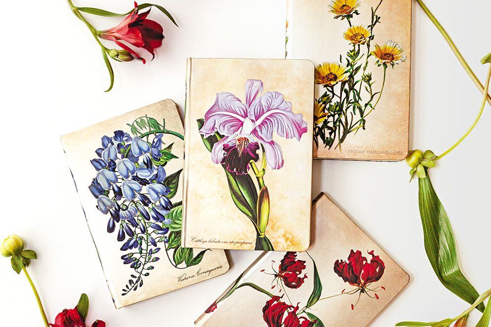 Orchidea Brasiliana - Design Inspiration -