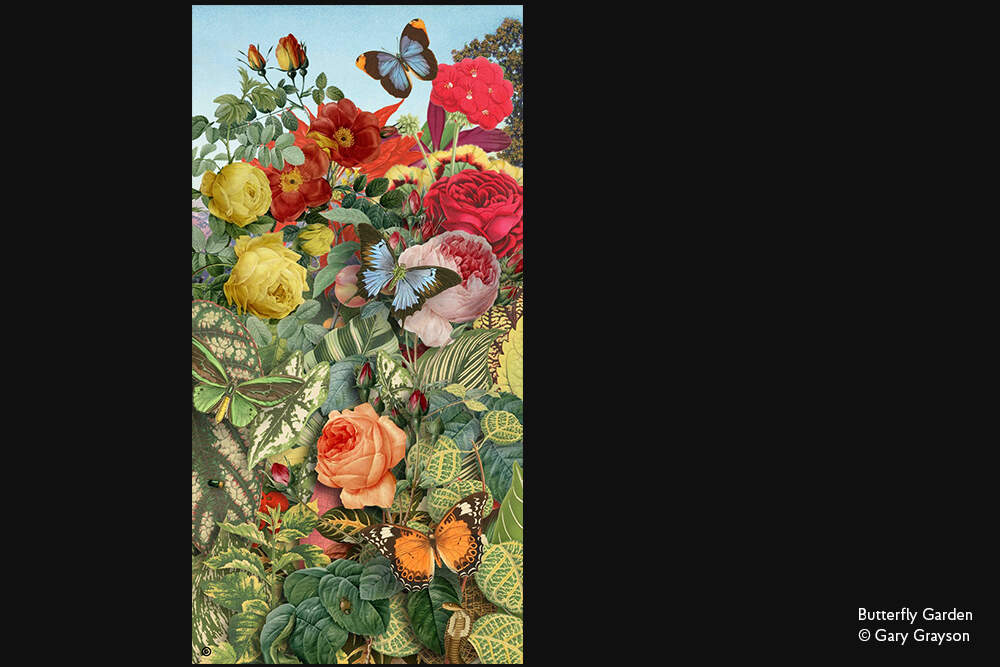 Butterfly Garden - Design Inspiration - 