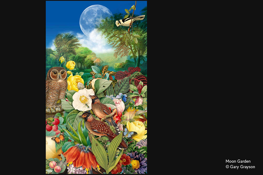 Moon Garden - Design Inspiration - 